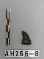 藏品(打製細石器)的圖片